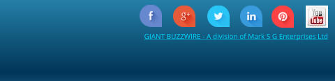 GIANT BUZZWIRE - A division of Mark S G Enterprises Ltd